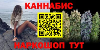 индика Абакан