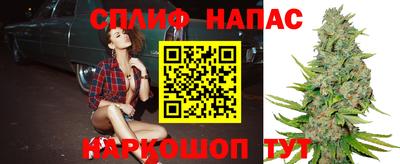 индика Абакан