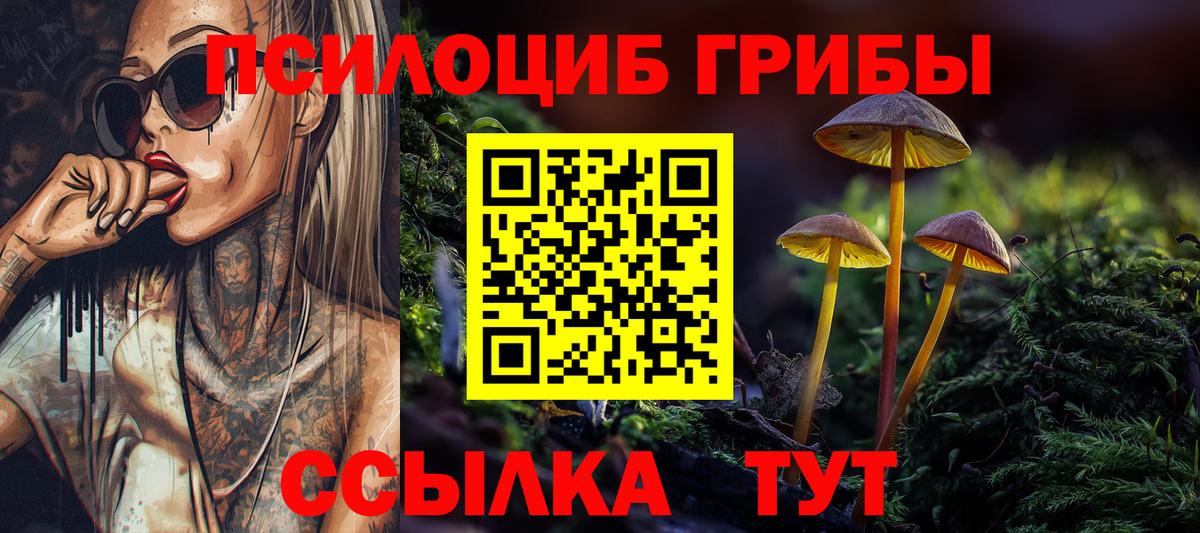 Алатырь  наркошоп  Вход с VPN  Псилоцибиновые грибы прущие грибы 